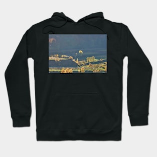 Sunlight on autumn trees, Kaiserstuhl, Germany Hoodie